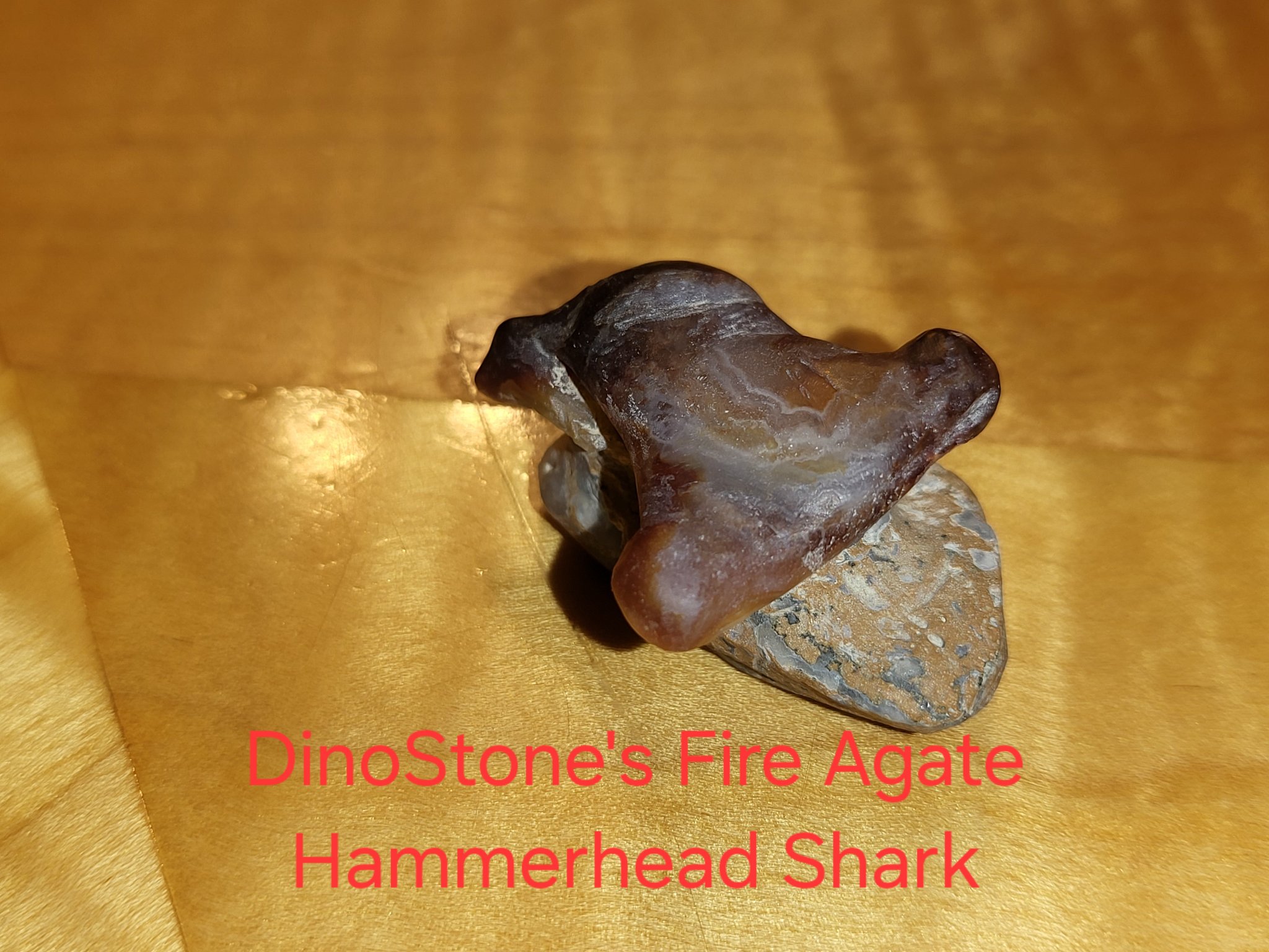 Hammerhead Shark DinoStone #4